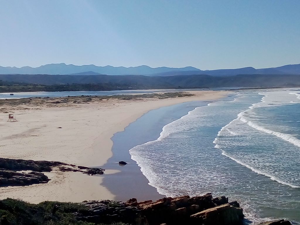 Garden Route Fruitcake